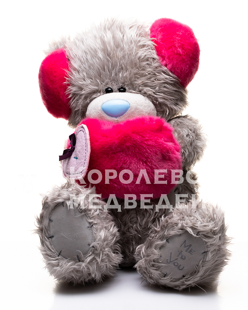  , Teddy G01W3039 